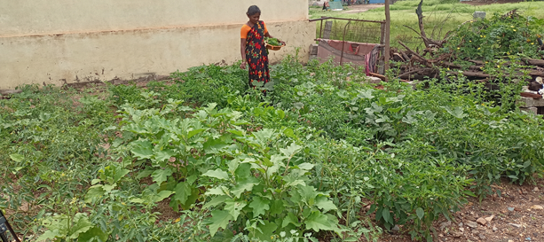 ACC Empowers Rural Women in Karnataka through Kitchen Garden Intervention Program 